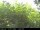 Webcam in Presseggersee, 0.1 mi away