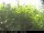 Webcam in Presseggersee, 0.6 km entfernt