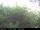 Webcam in Presseggersee, 12.8 km