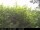 Webcam in Presseggersee, 8.2 km