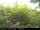 Webcam in Presseggersee, 14.2 km