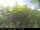 Webcam in Presseggersee, 7.3 km