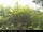 Webcam in Presseggersee, 15.9 km