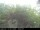 Webcam in Presseggersee, 0.6 km