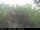 Webcam in Presseggersee, 4.9 mi away