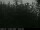 Webcam in Presseggersee, 0.1 mi away