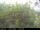 Webcam in Presseggersee, 5.5 mi away