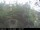 Webcam in Presseggersee, 14.2 km