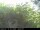 Webcam in Presseggersee, 14.2 km