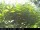 Webcam in Presseggersee, 12.8 km