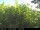 Webcam in Presseggersee, 7.3 km