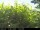 Webcam in Presseggersee, 12.8 km