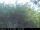 Webcam in Presseggersee, 0.6 km