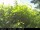 Webcam in Presseggersee, 14.1 km