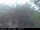 Webcam in Presseggersee, 12.8 km