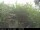 Webcam in Presseggersee, 7.3 km entfernt
