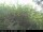 Webcam in Presseggersee, 7.3 km
