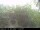 Webcam in Presseggersee, 0.6 km