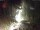 Webcam in Triberg im Schwarzwald, 7.9 mi away