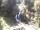 Webcam in Triberg im Schwarzwald, 4.1 km