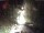 Webcam in Triberg im Schwarzwald, 10.3 mi away