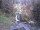 Webcam in Triberg im Schwarzwald, 20.4 km entfernt