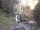 Webcam in Triberg im Schwarzwald, 21.7 km