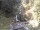 Webcam in Triberg im Schwarzwald, 7.9 mi away