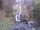 Webcam in Triberg im Schwarzwald, 4.1 km entfernt