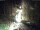 Webcam in Triberg im Schwarzwald, 8.4 mi away