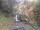 Webcam in Triberg im Schwarzwald, 14.8 km entfernt