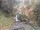 Webcam in Triberg im Schwarzwald, 10.4 mi away