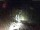 Webcam in Triberg im Schwarzwald, 20.4 km entfernt