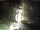 Webcam in Triberg im Schwarzwald, 4.1 km entfernt