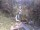 Webcam in Triberg im Schwarzwald, 10.5 mi away