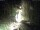 Webcam in Triberg im Schwarzwald, 7.9 mi away