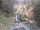 Webcam in Triberg im Schwarzwald, 9.4 mi away