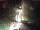 Webcam in Triberg im Schwarzwald, 10.3 mi away