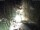 Webcam in Triberg im Schwarzwald, 34 km