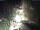 Webcam in Triberg im Schwarzwald, 14.8 km