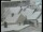 Webcam in Sankt Margarethen im Burgenland, 7.9 km entfernt