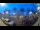 Webcam in Split, 0.2 mi away