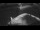 Webcam on the Sarfaq Ittuk, 268.7 mi away