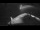 Webcam on the Sarfaq Ittuk, 50.4 mi away
