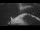 Webcam on the Sarfaq Ittuk, 35.9 mi away
