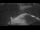 Webcam auf der Sarfaq Ittuk, 85.9 km entfernt