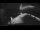Webcam on the Sarfaq Ittuk, 167.2 mi away
