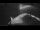 Webcam on the Sarfaq Ittuk, 55.6 mi away