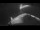Webcam sulla Sarfaq Ittuk, 406.8 km