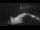 Webcam on the Sarfaq Ittuk, 10.2 mi away